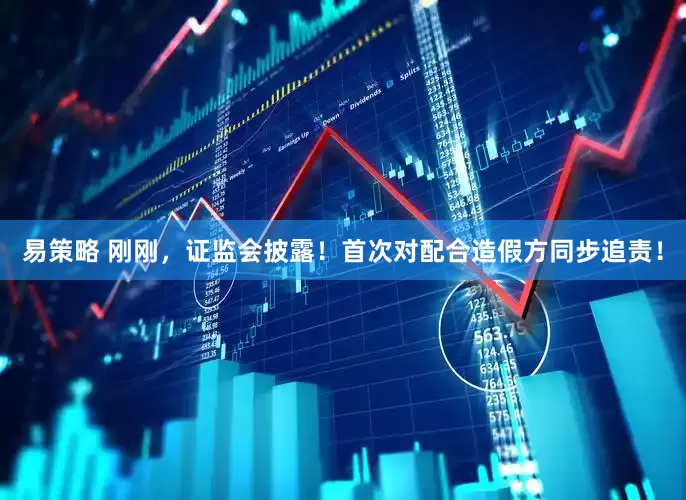 易策略 刚刚，证监会披露！首次对配合造假方同步追责！