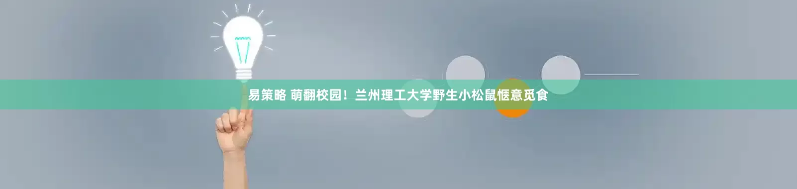 易策略 萌翻校园！兰州理工大学野生小松鼠惬意觅食