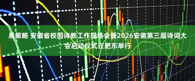 易策略 安徽省校园诗教工作现场会暨2026安徽第三届诗词大会启动仪式在肥东举行